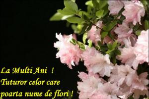 La Multi Ani, de Florii!