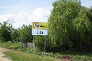 Lisa