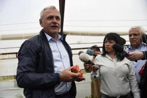 Liviu Dragnea.