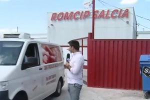 Ferma Salcia.