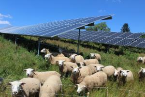 Parc solar