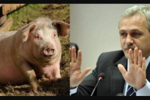 Liviu Dragnea.