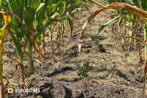 Agricultura