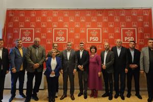 PSD - PNL