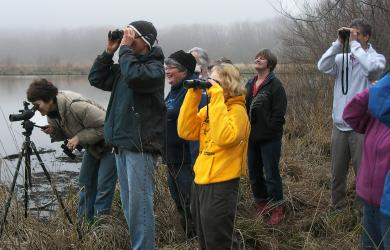 Frumosul te face bine. Ce e birdwatching - alternativa la macelurile vanatoresti. Via Danubiana trebuie sa inglobeze tot si sa oferim un pachet "verde si inteligent"