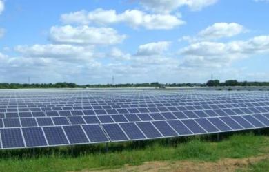 Primaria Turnu Magurele scoate la licitatie concesionarea, 25 - 30 de ani, a 11 hectare de teren pentru constructia unui parc fotovoltaic si stocare energie electrica