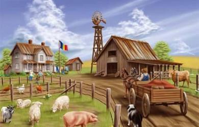 Zona Turnu Magurele - Piata BUCUR-estenilor. Cumparaturi direct din gospodariile taranesti. Produse premium la preturi de producator
