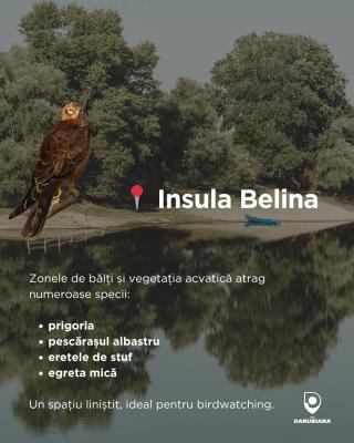 Insula Belina