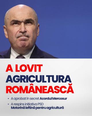 Gadea ii da clasă lui Bolo