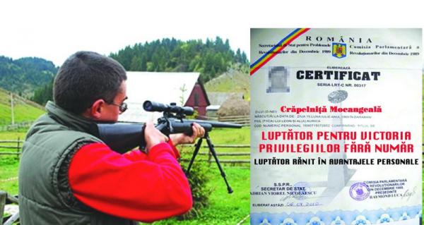 Certificat de profitor.