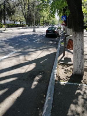 Autoturism parcat in vazul tuturor.