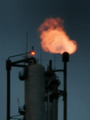 Donau Chem - Kellogg