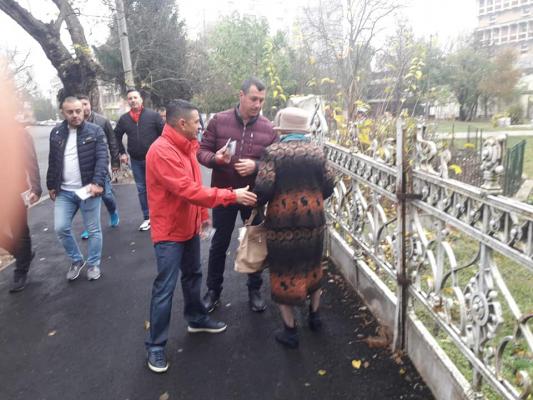Pacalici in actiune.