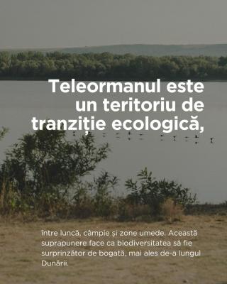 Teleorman