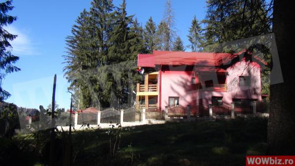 Vila lui Viorica.
